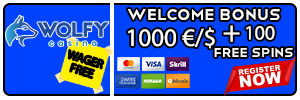 TOP CASINOS WOLFY 2025